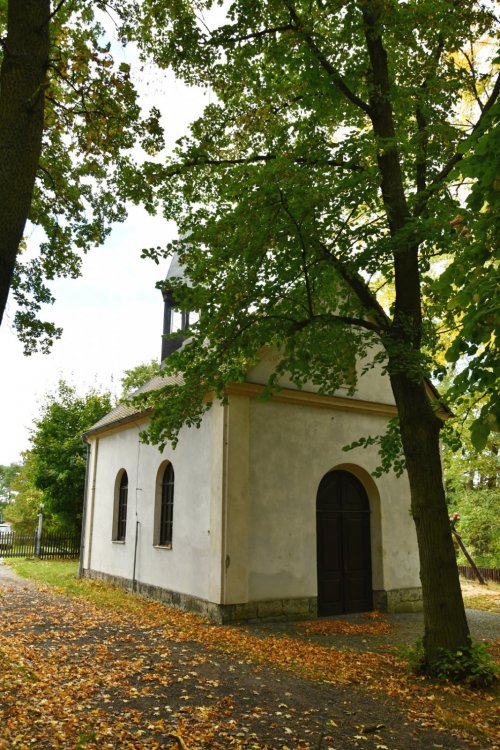 Žizníkov