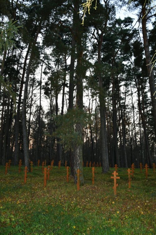 Lada v Podještědí