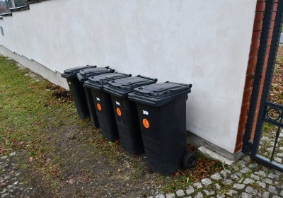 O.N., 2021