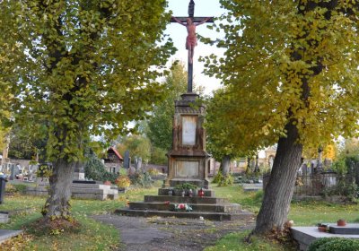 O.N., 2021