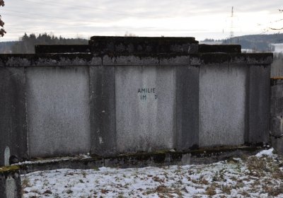 O.N., 2021