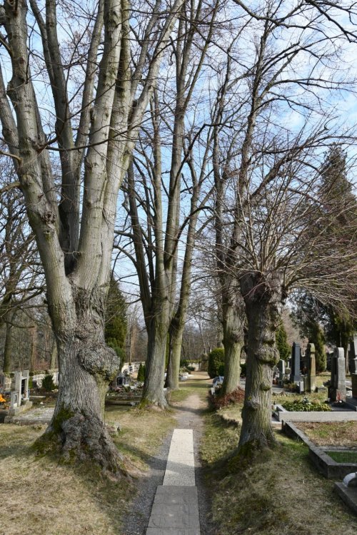 Šemanovice