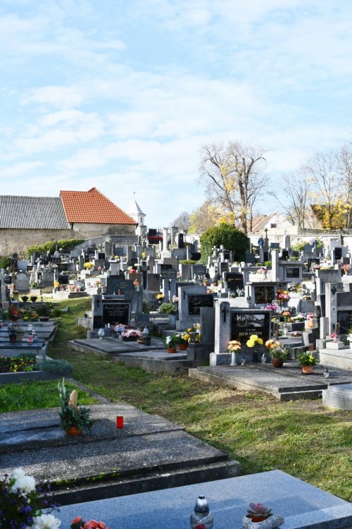 Těchonice