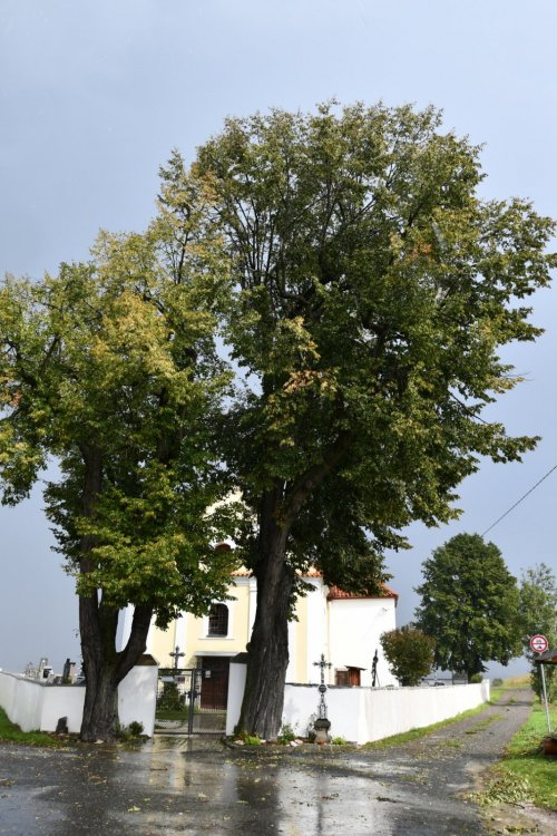 Rabí