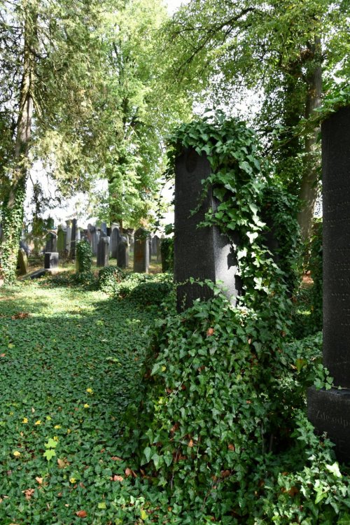 Horažďovice