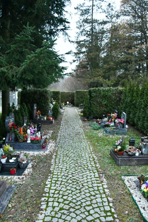 Chodová Planá
