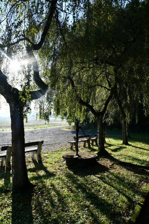 Cheznovice