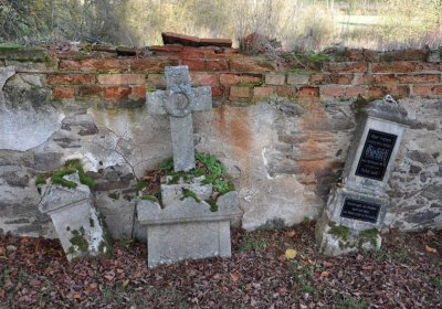O.N., 2022