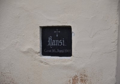O.N., 2022