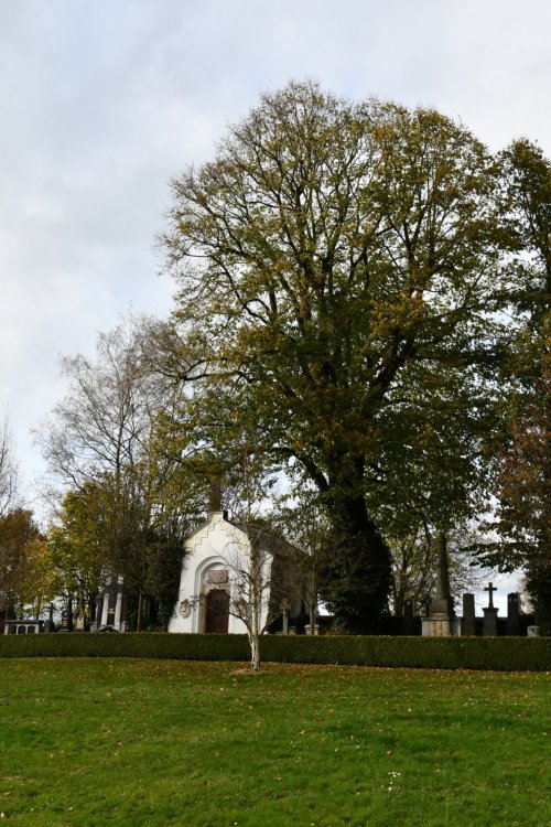 Všeruby