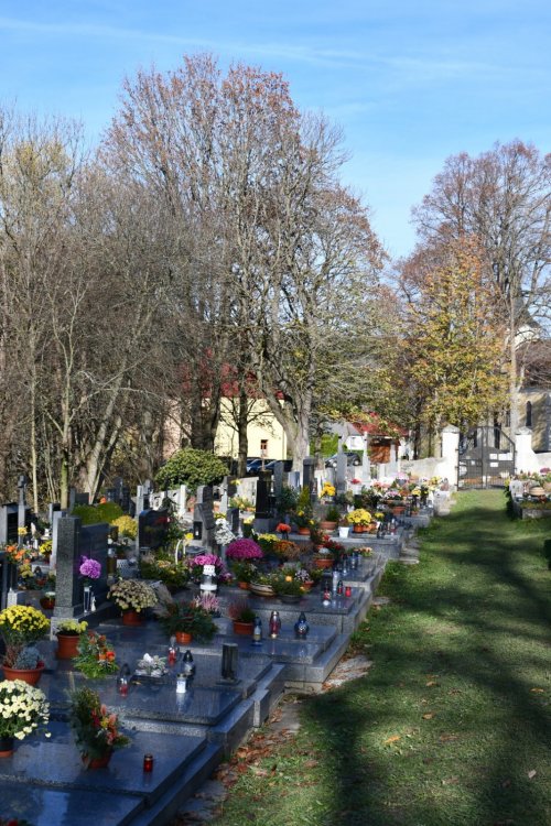 Hlavňovice