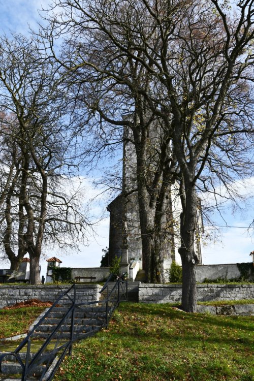 Kvášňovice