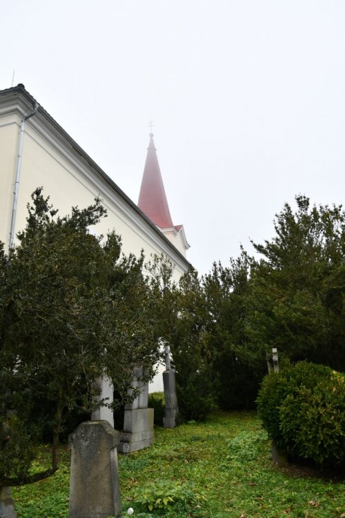 Šipín