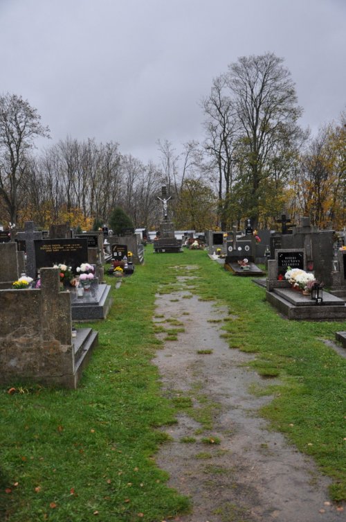 Žinkovy