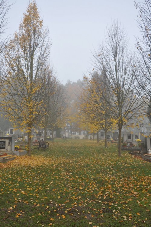 Kaznějov