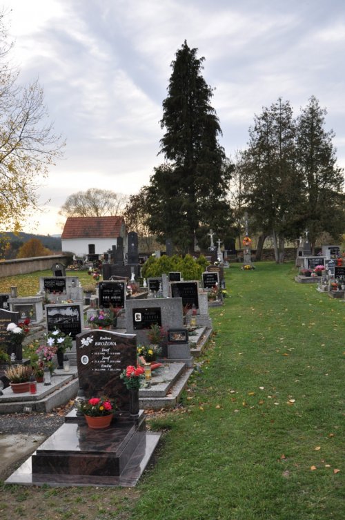 Holostřevy