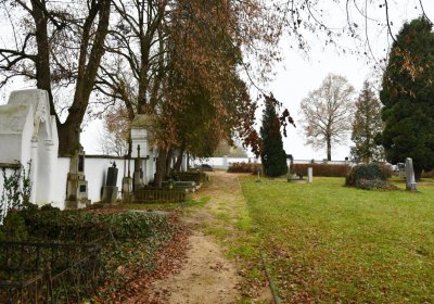 O.N., 2022