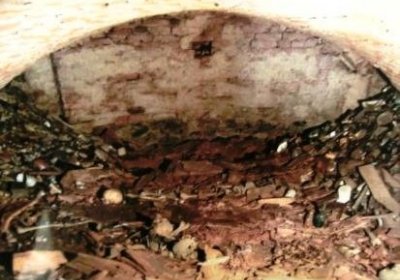 Knotek Jaromír, 2016