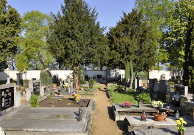 Sedláček Hugo, 2015