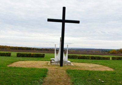 Březno u Chomutova, Omnium, 2020