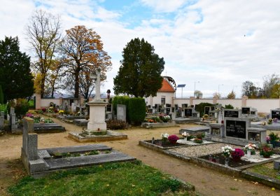 Březno u Chomutova, Omnium, 2020