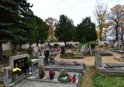 Březno u Chomutova, Omnium, 2020