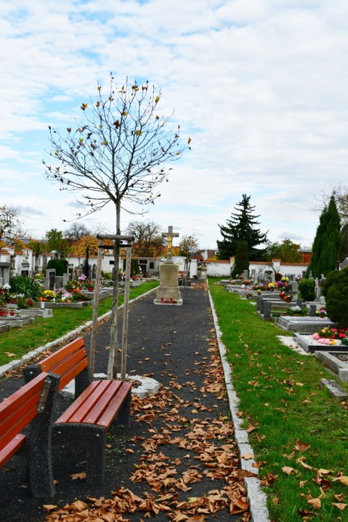 Droužkovice