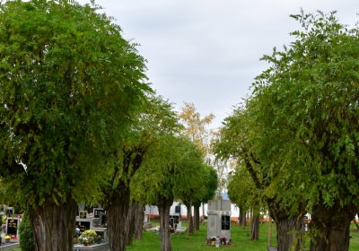 Hrušovany u Chomutova, Omnium, 2020