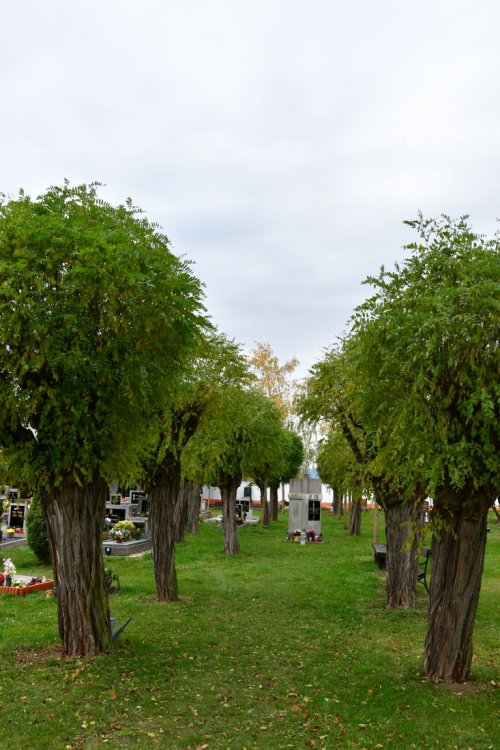 Hrušovany