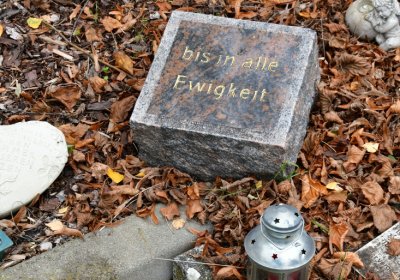 Hrušovany u Chomutova, Omnium, 2020