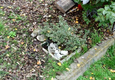 Hrušovany u Chomutova, Omnium, 2020