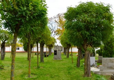 Hrušovany u Chomutova, Omnium, 2020