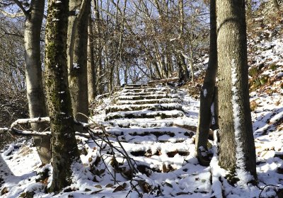 Sedláček Hugo, 2016