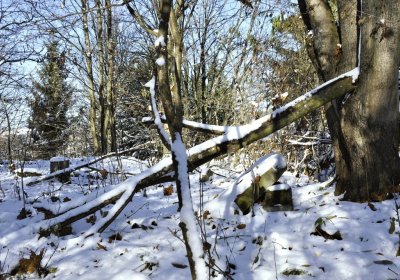 Sedláček Hugo, 2016