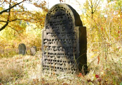 Sedláček Hugo, 2009