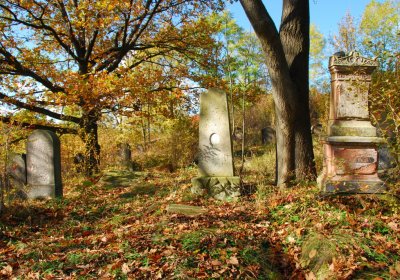 Sedláček Hugo, 2009