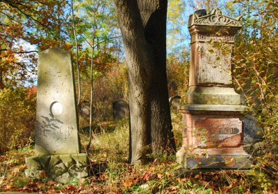 Sedláček Hugo, 2009