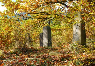 Sedláček Hugo, 2009