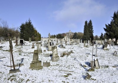 Sedláček Hugo, 2016