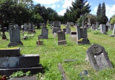 Kmínek Michal, 2019