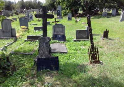 Kmínek Michal, 2019