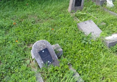 Kmínek Michal, 2019