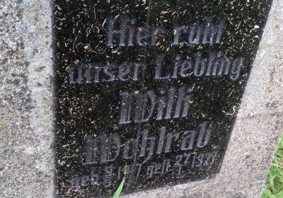 Kmínek Michal, 2019