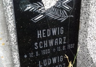 Kmínek Michal, 2019