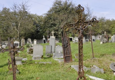 Sedláček Hugo, 2014