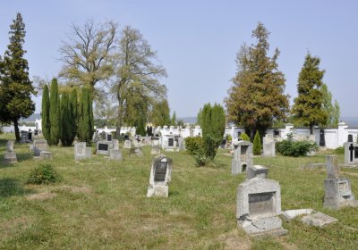 Sedláček Hugo, 2015