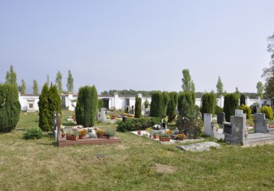 Sedláček Hugo, 2015