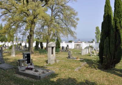 Sedláček Hugo, 2015