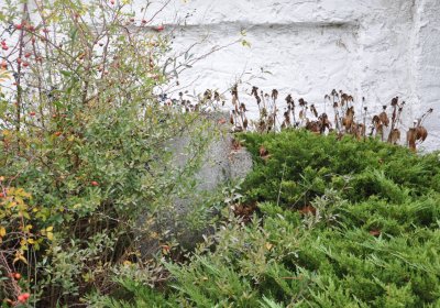 Otvice, Omnium, 2020