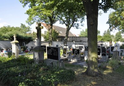 Sedláček Hugo, 2016